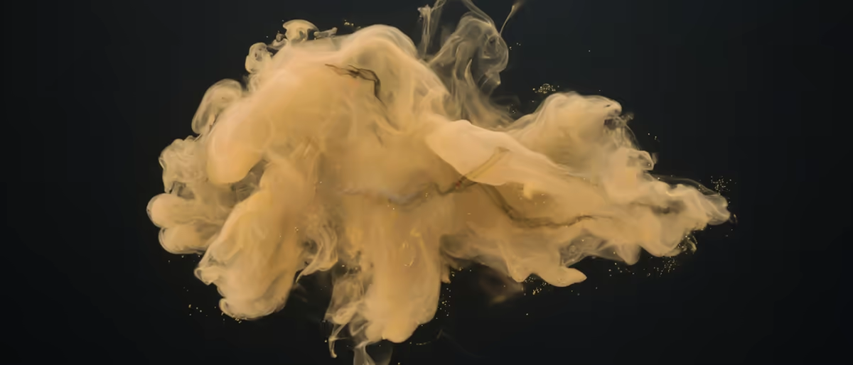 Absynth 6 dành cho texture và vocal chop (2026)