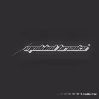 Armaku Modded Breaks [WAV]