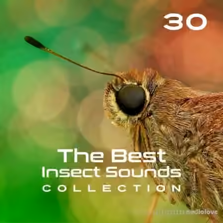 Close To Nature Music Ensemble 30 The Best Insect Sounds Collection Fly with Creature, Sound Effects, Magic Library [FLAC]