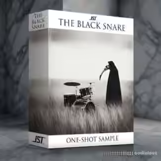 Joey Sturgis Tones JST The Black Snare One-Shot Drum Sample [WAV]