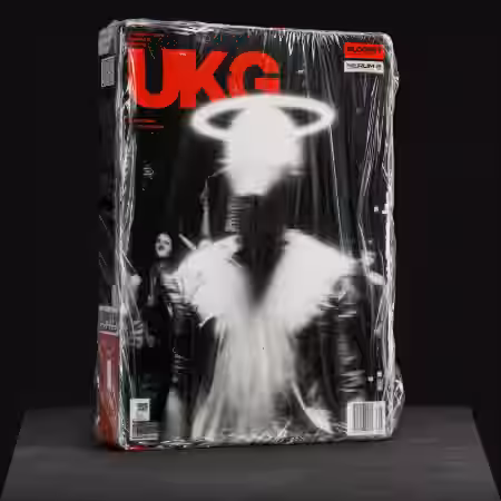 Loopsy UKG For Serum 2 [Synth Presets, MiDi]