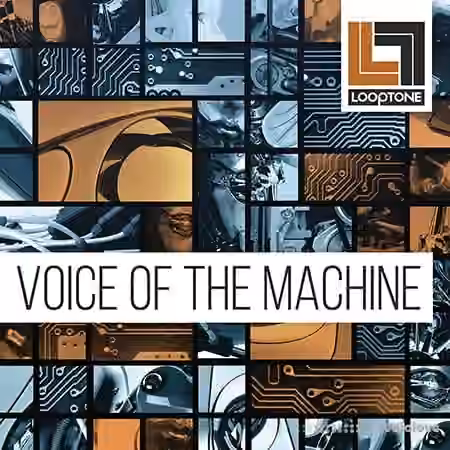 Looptone Voice of the Machine [WAV]
