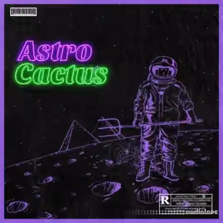 Major Loops Astro Cactus [WAV]