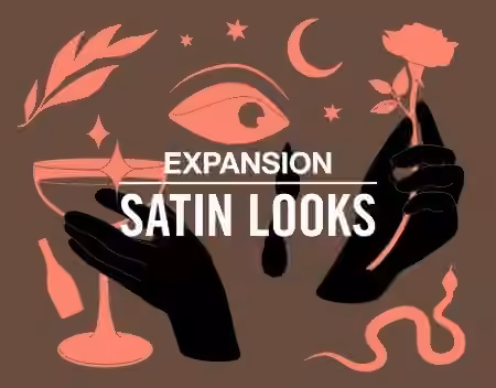 Native Instruments Satin Looks Expansion [MULTiFORMAT]