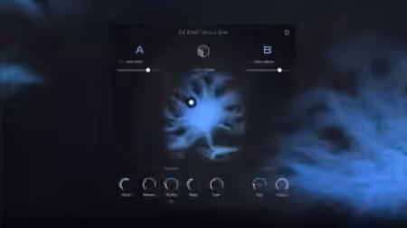 Native Instruments Scene Willow v1.0.0 [KONTAKT]
