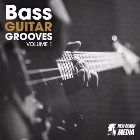 New Beard Media Bass Guitar Grooves Vol.1 [WAV]