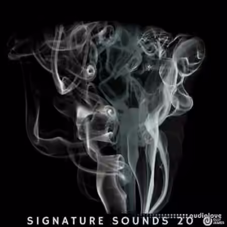Olly James Signature Sounds Vol.20 WTW Bass House [WAV, MiDi, Synth Presets, DAW Templates]