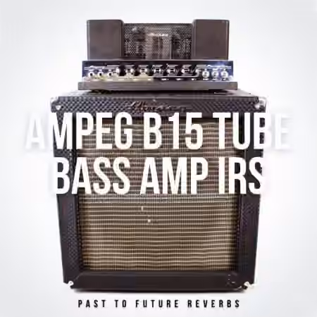 PastToFutureReverbs Ampeg B15 Tube Bass Amp IR's!