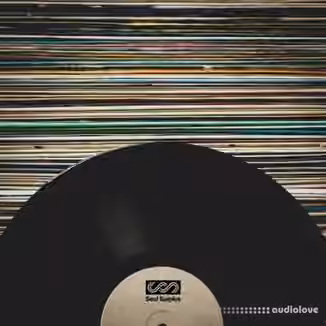 Soul Surplus Vinyl Melodics [WAV]