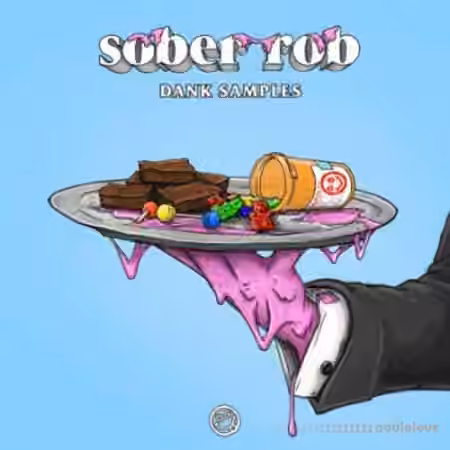 Splice Sounds Sober Rob Dank Samples [WAV]