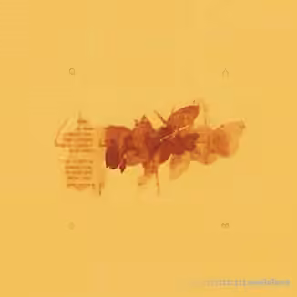 tesnow  evolus mutare vias [WAV]