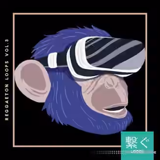 Veguzzi On The Beat Reggaeton Loops Vol. 3 [WAV]