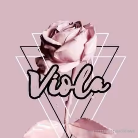 Ztar Audio Viola [WAV]